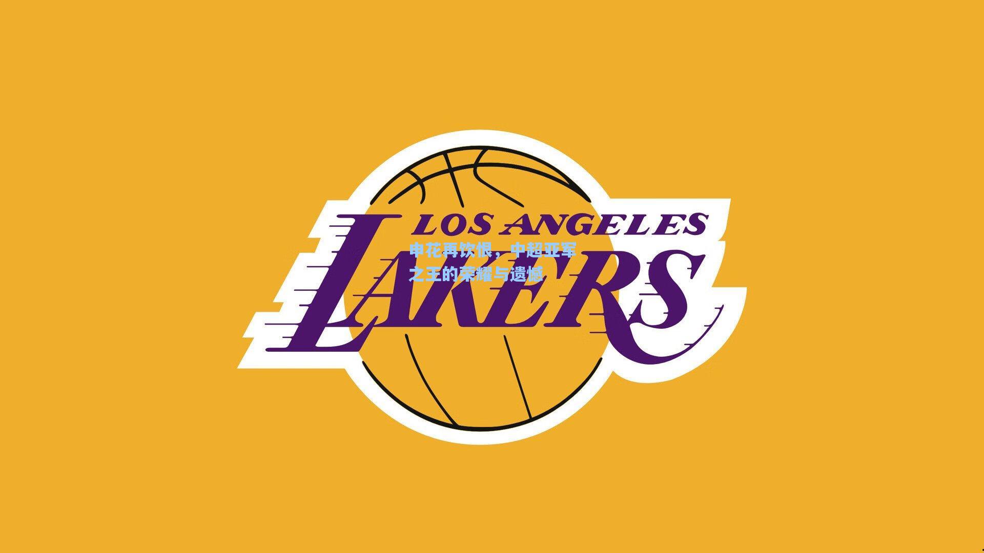 申花再饮恨，中超亚军之王的荣耀与遗憾